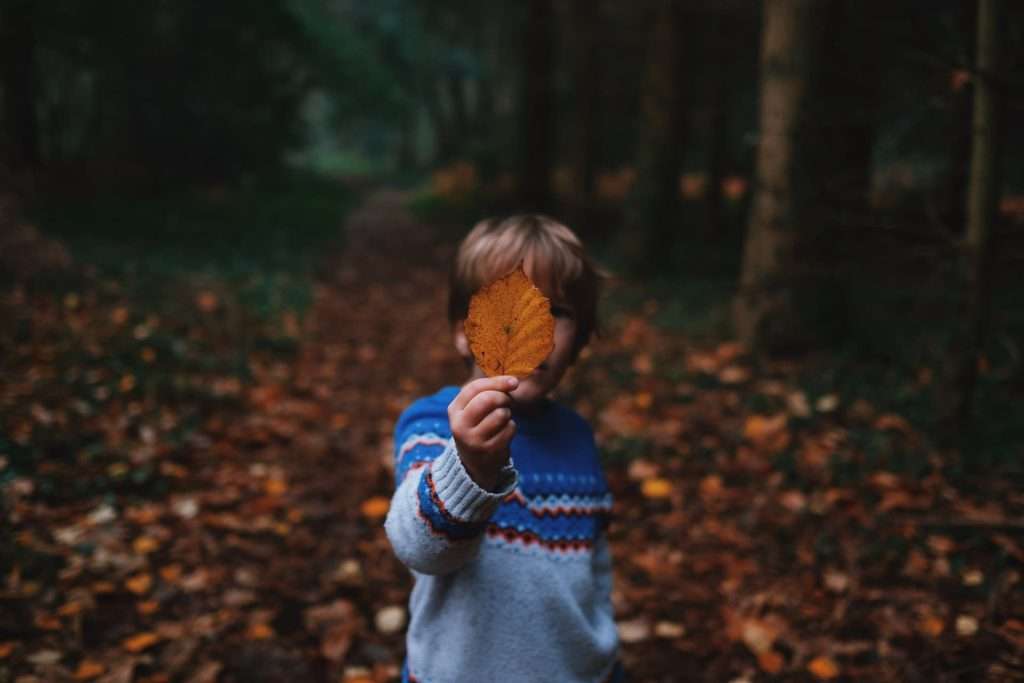 Boy holding a leaf in a forest