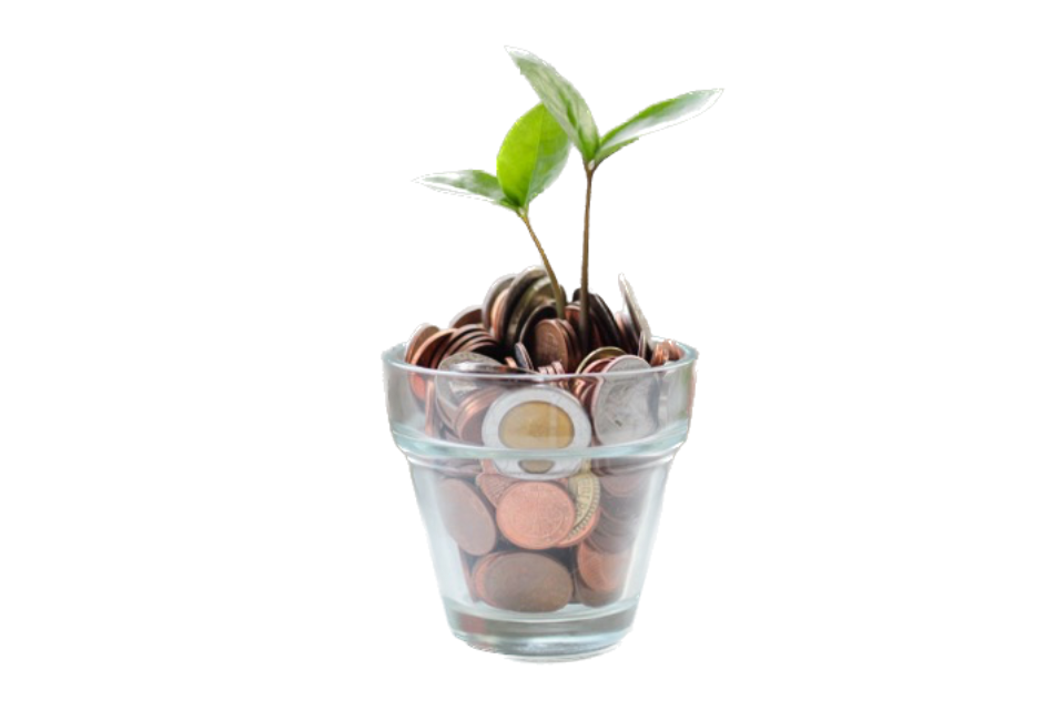 Plant pot with coins